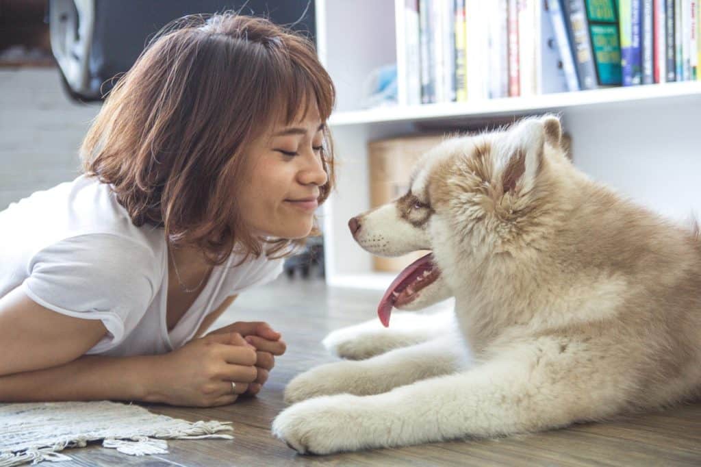 does my dog love me? does my dog love me?